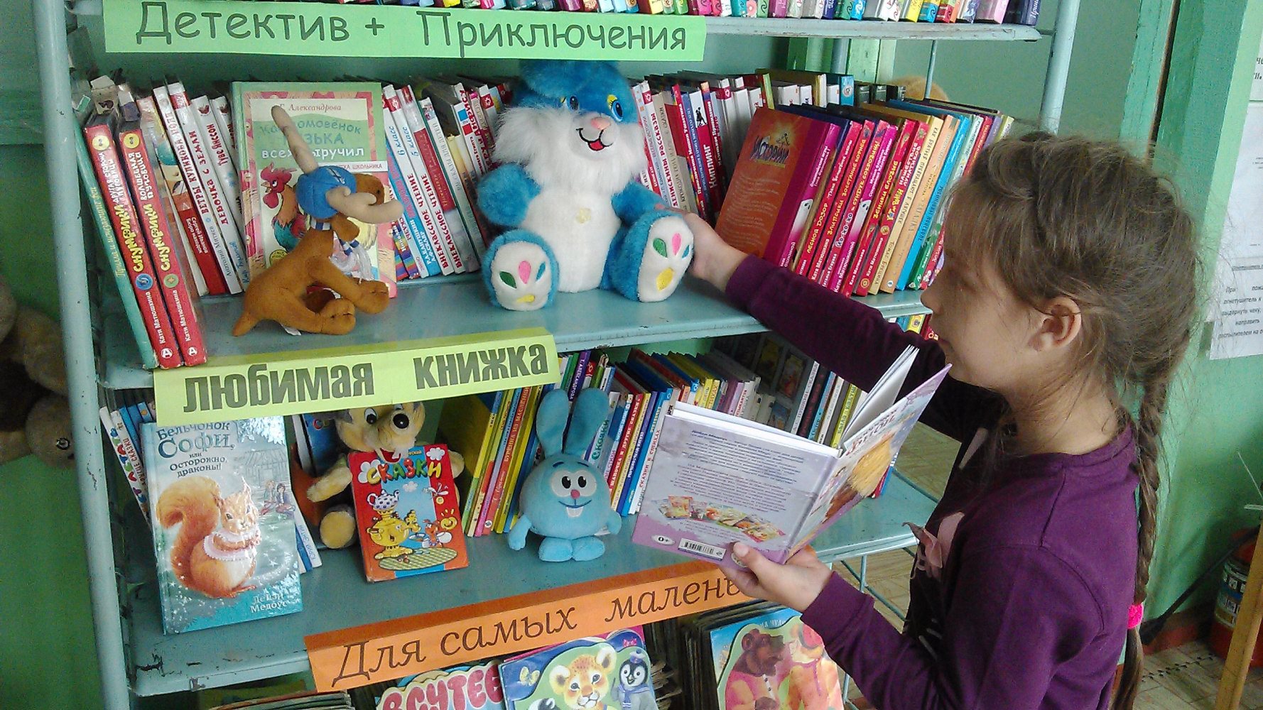 с. Михайловка Чтение с увлечением