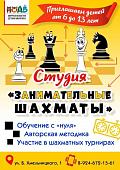 Студия «Занимательные шахматы»