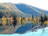 Торжественная церемония награждения победителей областного краеведческого марафона «Земля амурская, родная, русская...» состоится на сцене Амурского областного дома народного творчества