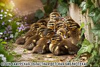 Необычные читатели в библиотеке!