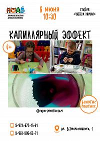 Знакомство с капиллярным эффектом (6+)